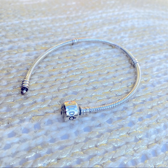 Pandora ✨ Classic Bracelet + 9 CHARMS! ✨ - Picture 3 of 6